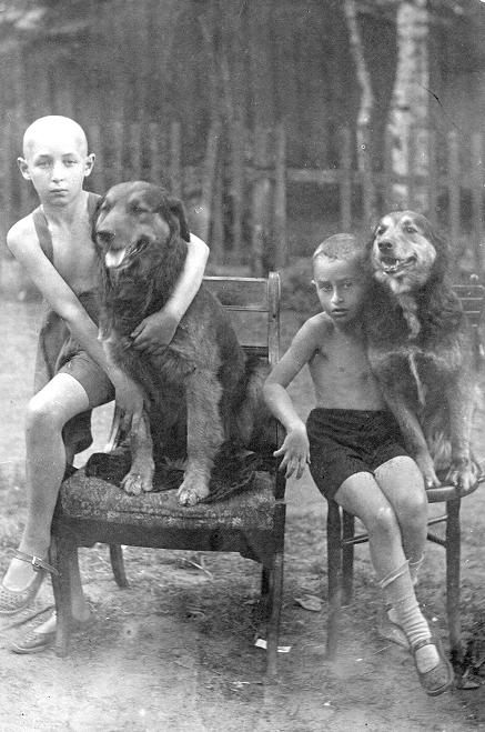 ВЕСЕЛЫЙ ПУДЕЛЬ